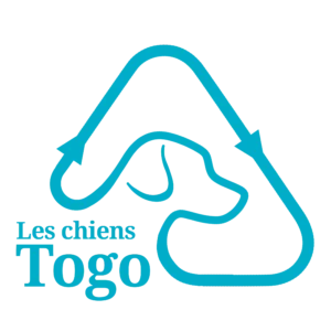 Les chiens TOGO
