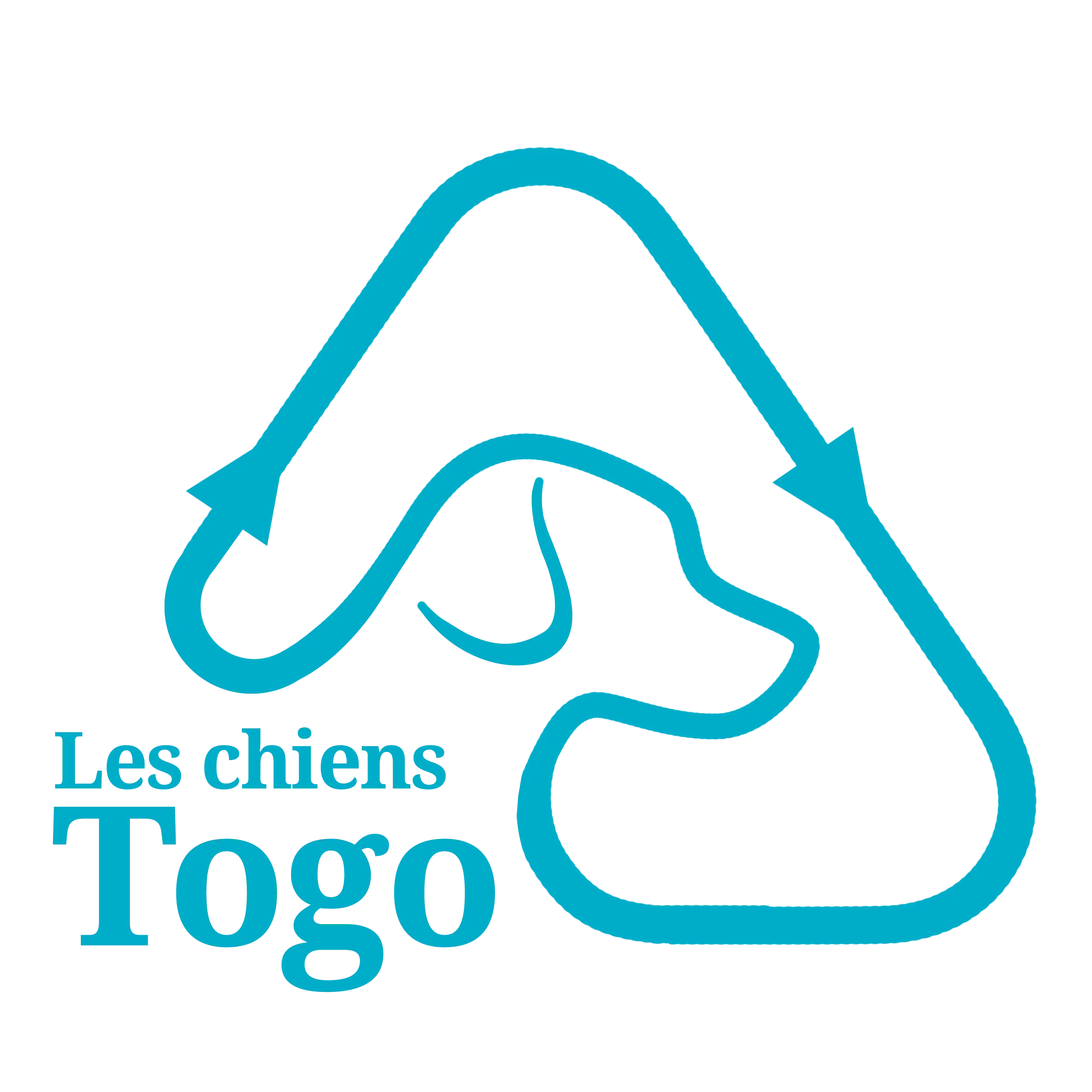 Les chiens TOGO logo